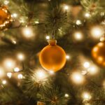 Close-up of a decorated christmas tree with lights.